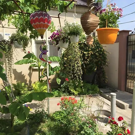 Πανσιόν Casa Litoral Κονστάντζα