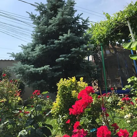 Casa Litoral Πανσιόν *