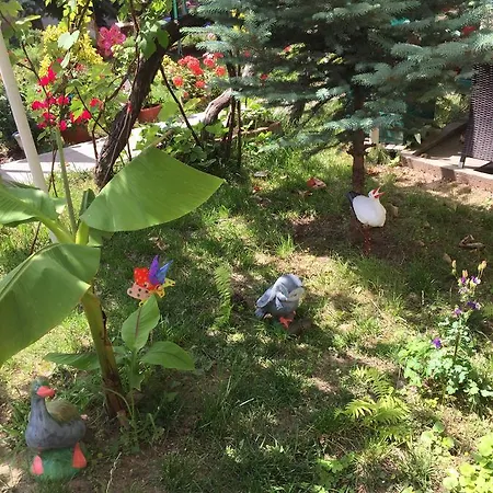 בית הארחה Casa Litoral *