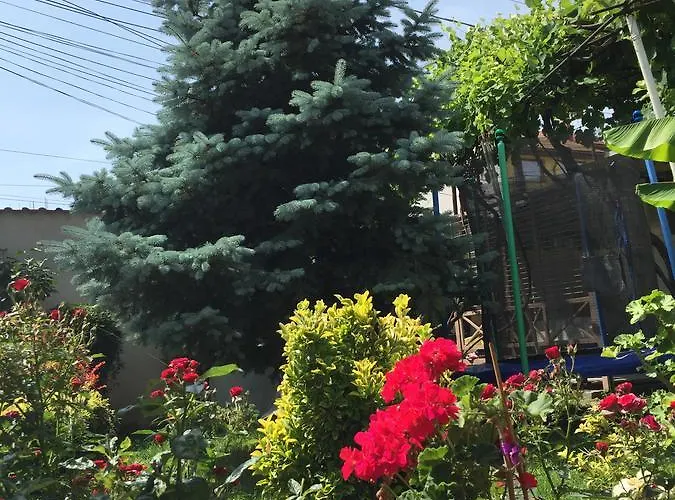 Casa Litoral Affittacamere *